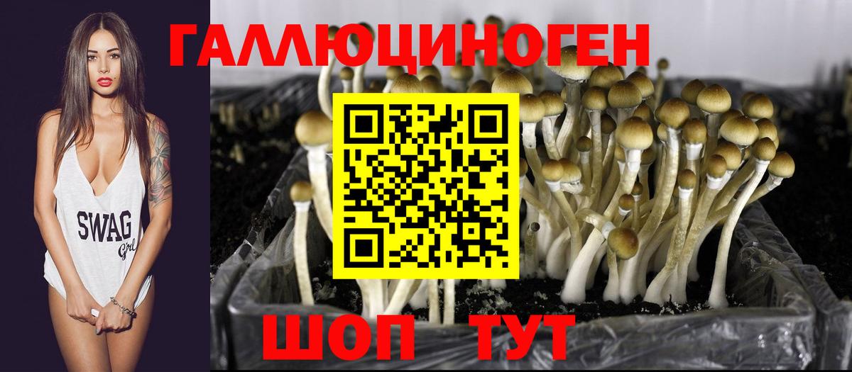 Лангепас  Псилоцибиновые грибы Psilocybine cubensis  Вход с VPN  Галлюциногенные грибы прущие грибы 